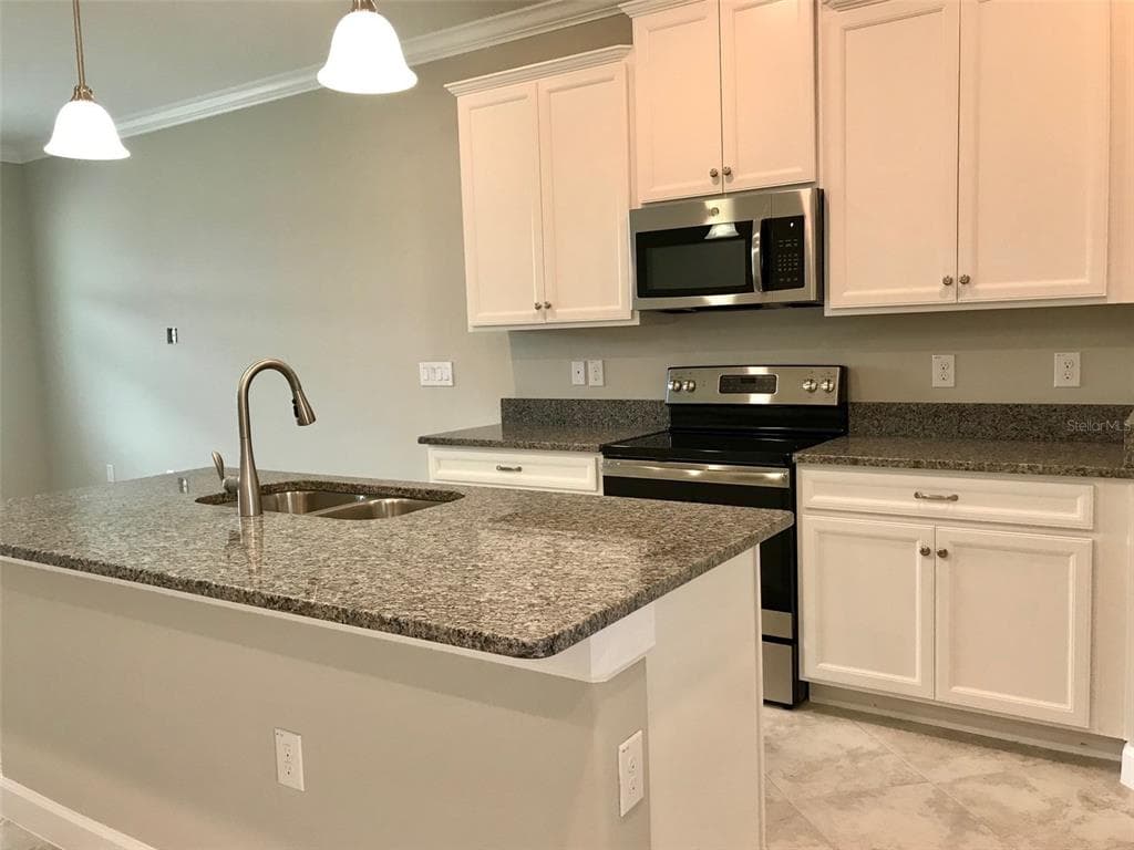 18672 NOBLE CASPIAN DRIVE, LUTZ, FL 33558 — zdjęcie 3