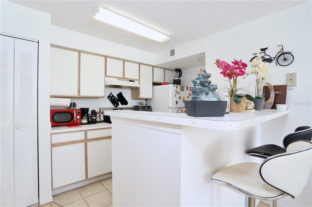 2209 ANTIGUA PLACE # 828, KISSIMMEE, FL 34741 — zdjęcie 3
