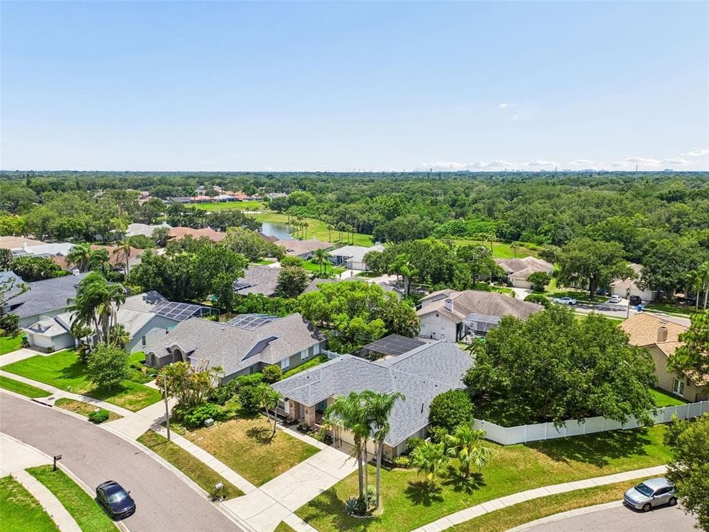 1776 WOOD THRUSH WAY, PALM HARBOR, FL 34683 — zdjęcie 4