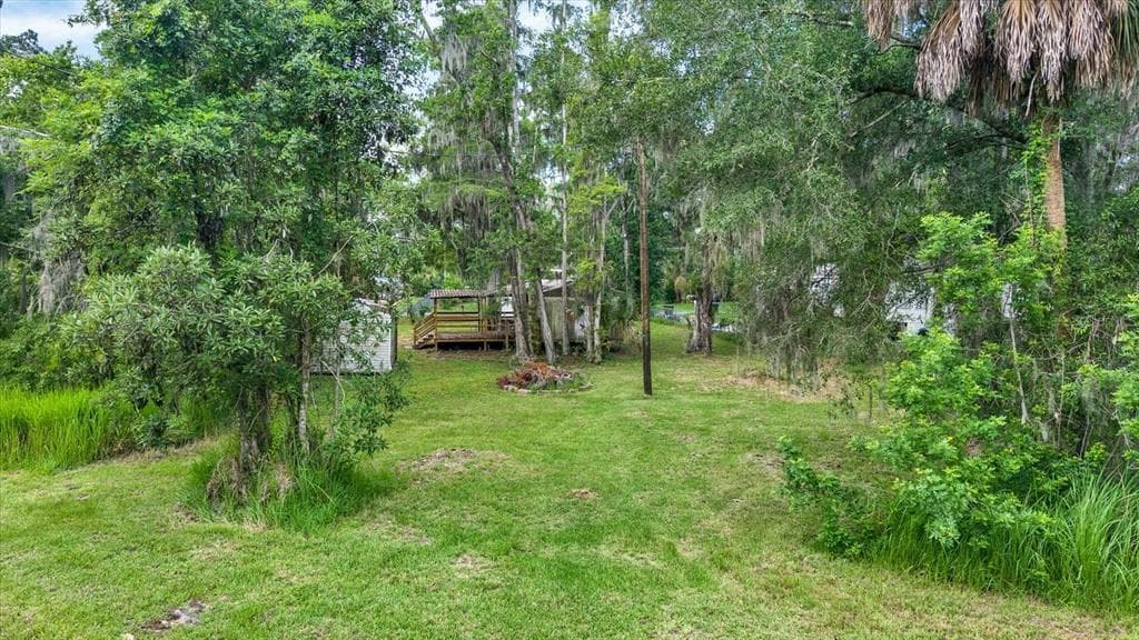 3913 ALAFIA BOULEVARD, BRANDON, FL 33511 — zdjęcie 5