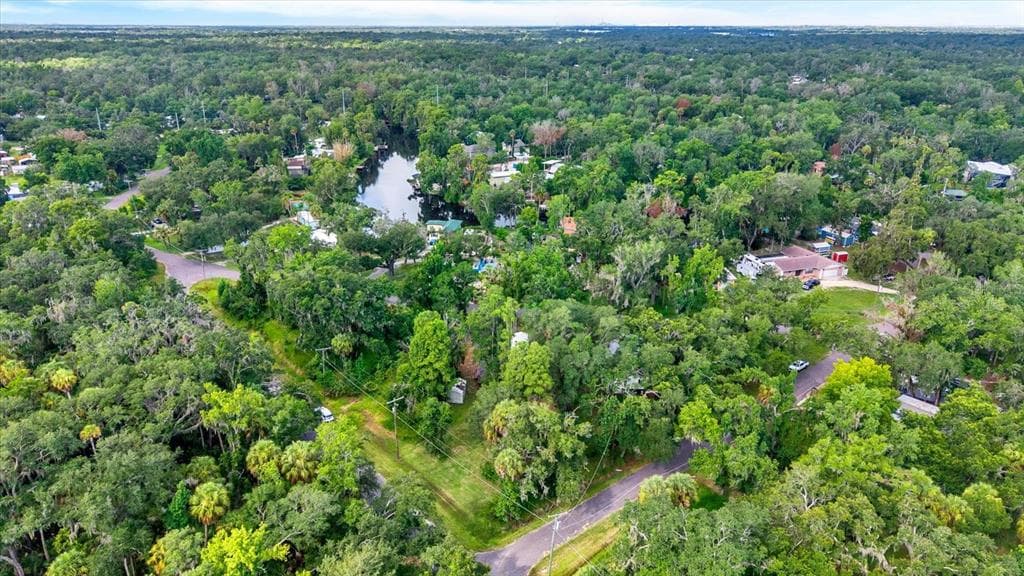3913 ALAFIA BOULEVARD, BRANDON, FL 33511 — zdjęcie 4