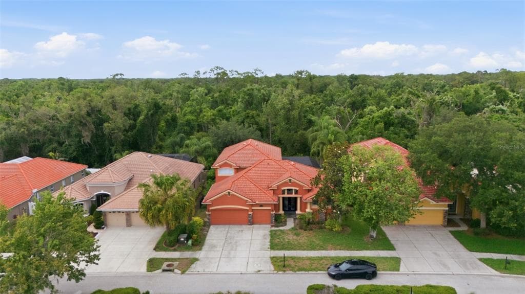 11639 BELLE HAVEN DRIVE, NEW PORT RICHEY, FL 34654 — zdjęcie 2