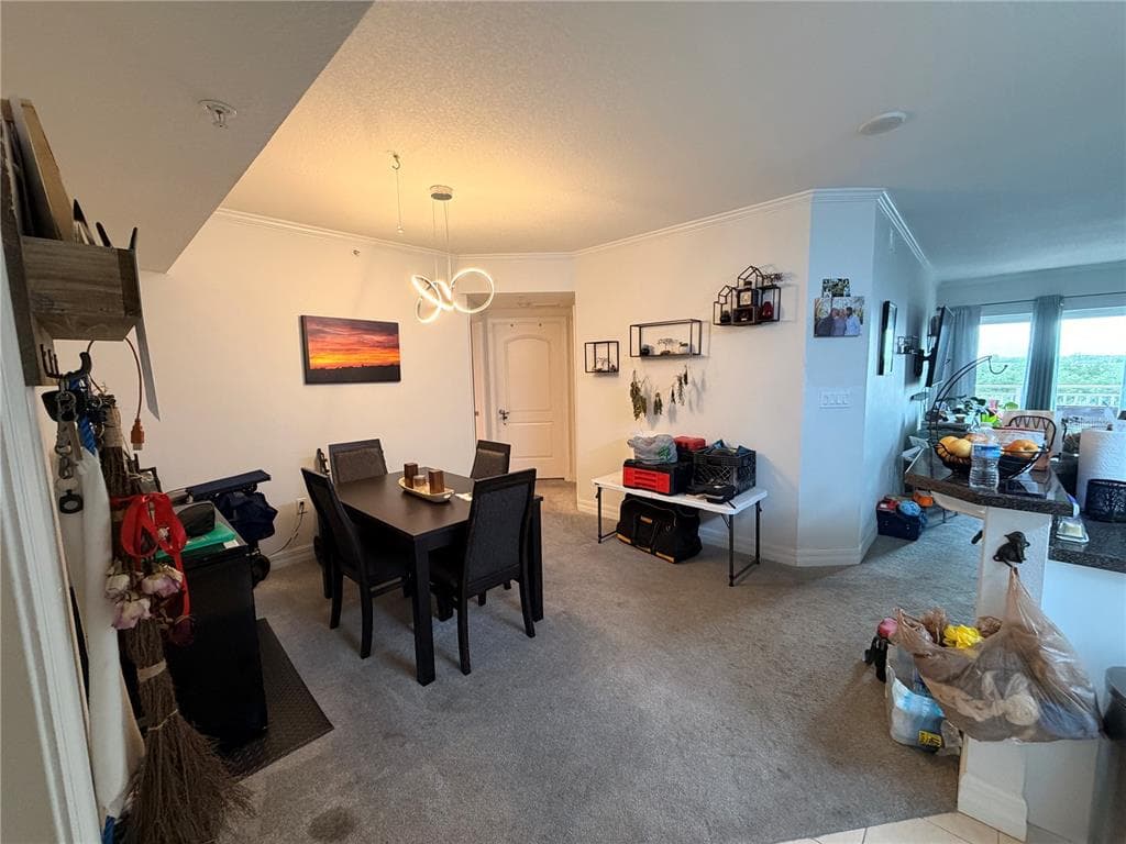 4516 SEAGULL DRIVE # 515, NEW PORT RICHEY, FL 34652 — zdjęcie 4