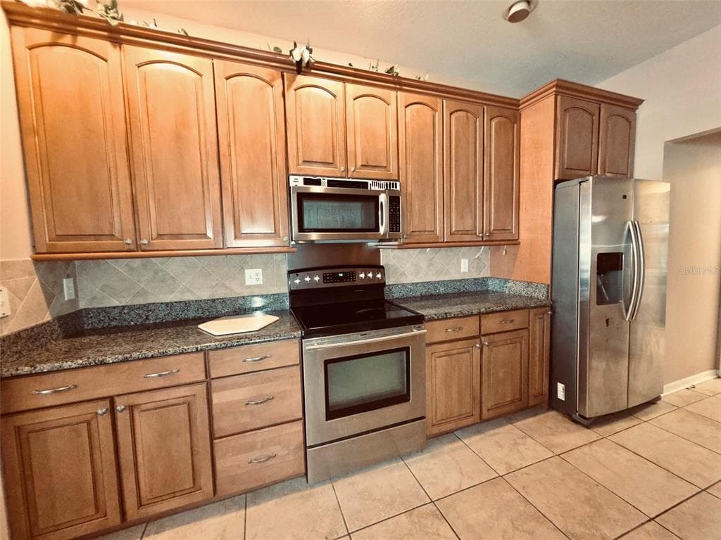 3806 TRIPLE JUMP STREET, VALRICO, FL 33596 — zdjęcie 5