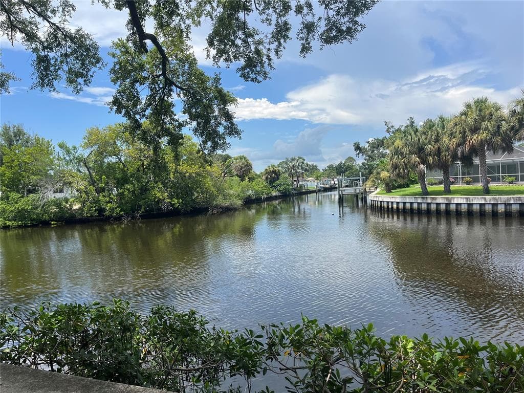 9105 TUDOR DRIVE # F103, TAMPA, FL 33615 — zdjęcie 2