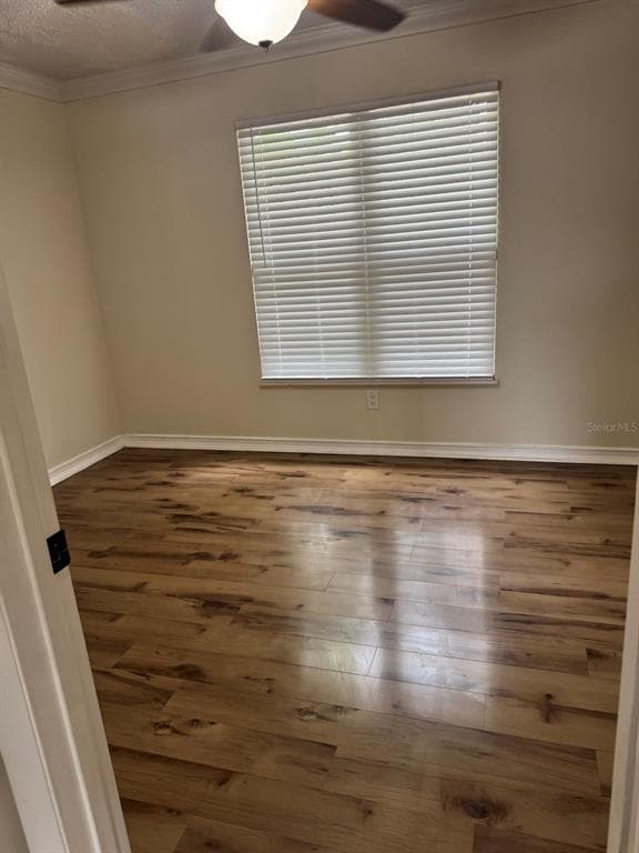 3306 LAKE SAXON DRIVE, LAND O LAKES, FL 34639 — zdjęcie 5