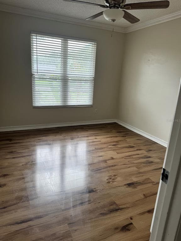 3306 LAKE SAXON DRIVE, LAND O LAKES, FL 34639 — zdjęcie 4