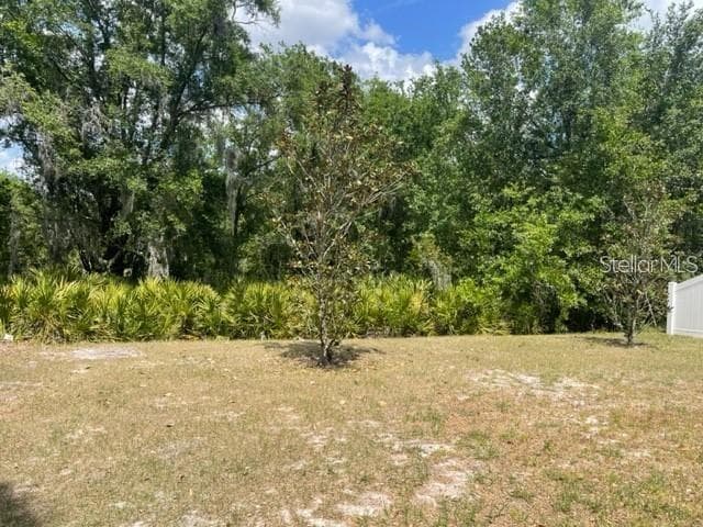 833 WILTONWAY DRIVE, PLANT CITY, FL 33563 — zdjęcie 3