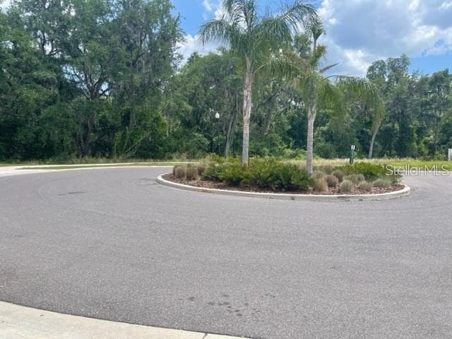 833 WILTONWAY DRIVE, PLANT CITY, FL 33563 — zdjęcie 4