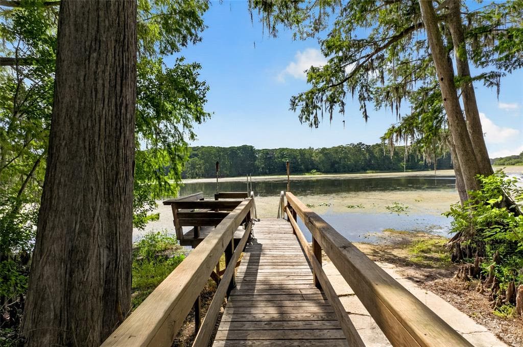 28211 MAGNON DRIVE, BROOKSVILLE, FL 34601 — zdjęcie 3