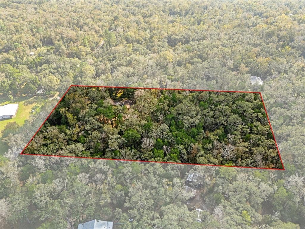 12047 TIMBER LANE, BROOKSVILLE, FL 34601 — zdjęcie 3