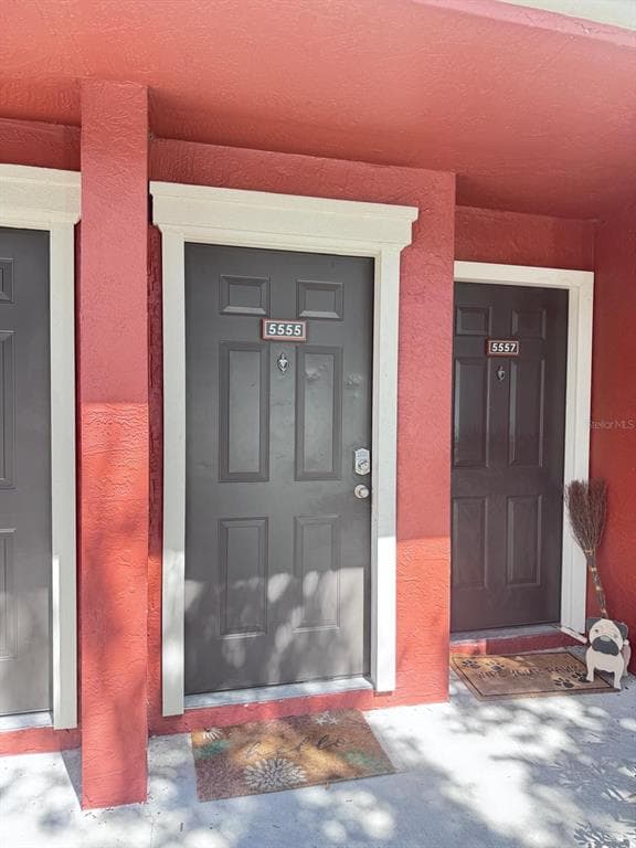 5555 BAYWATER DRIVE, TAMPA, FL 33615