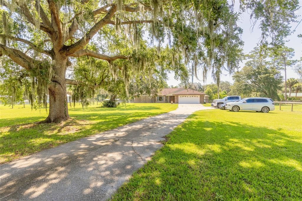 1389 WILLIAMS ROAD, NEW SMYRNA BEACH, FL 32168 — zdjęcie 4