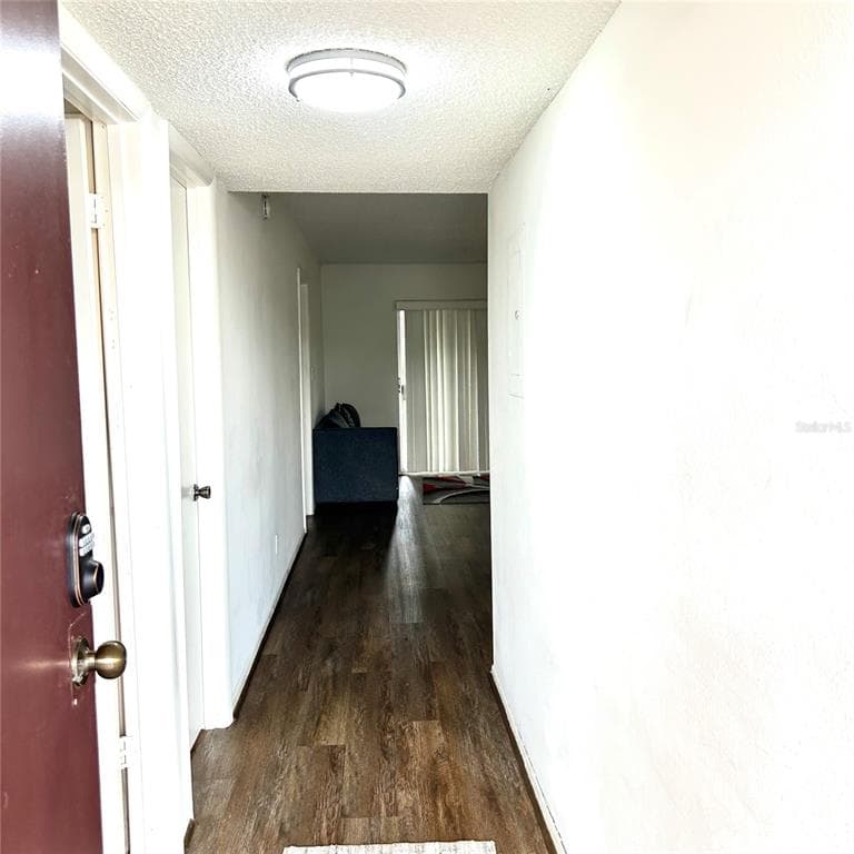 7531 PITCH PINE CIRCLE # 197, TAMPA, FL 33617 — zdjęcie 4