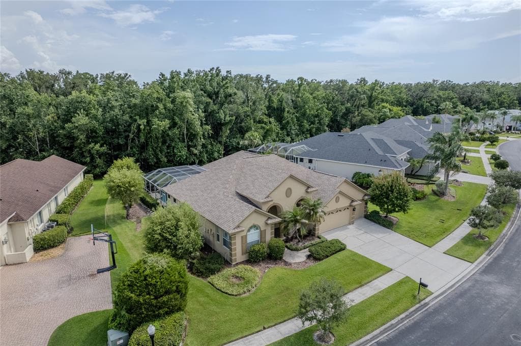 26920 WINGED ELM DRIVE, WESLEY CHAPEL, FL 33544 — zdjęcie 3