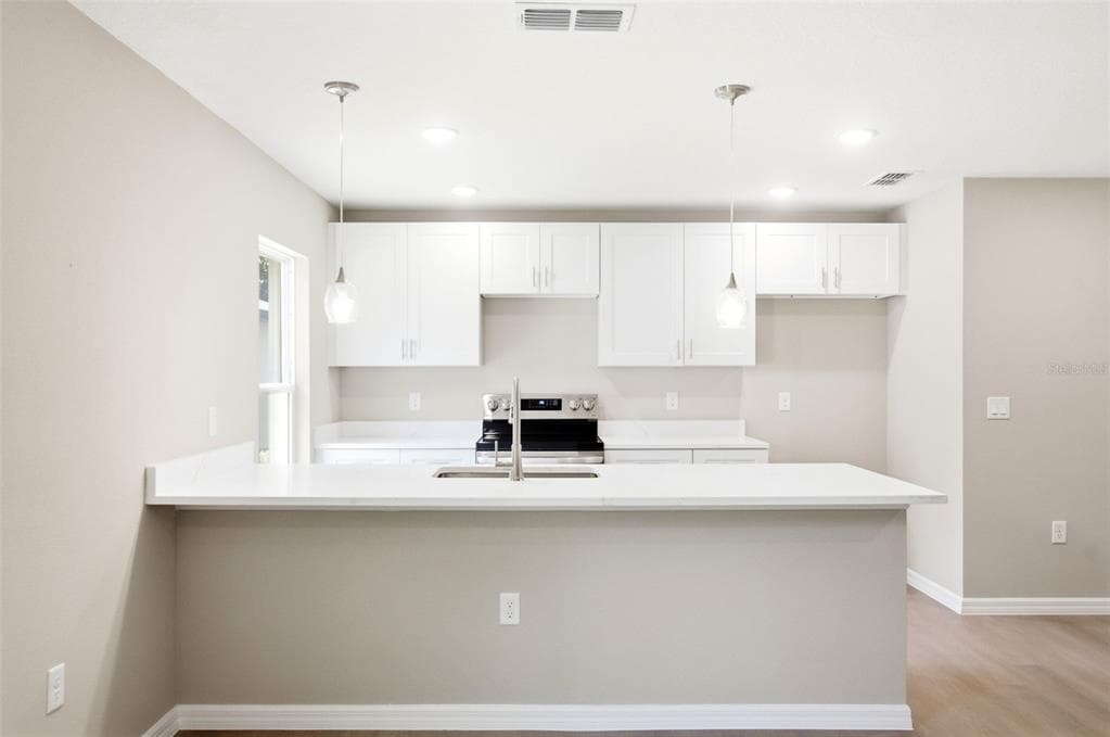2107 SUANEE AVENUE # 200, EUSTIS, FL 32726 — zdjęcie 4