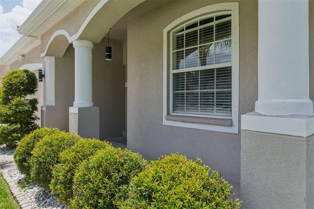 12816 CATTAIL SHORE LANE, RIVERVIEW, FL 33579 — zdjęcie 5