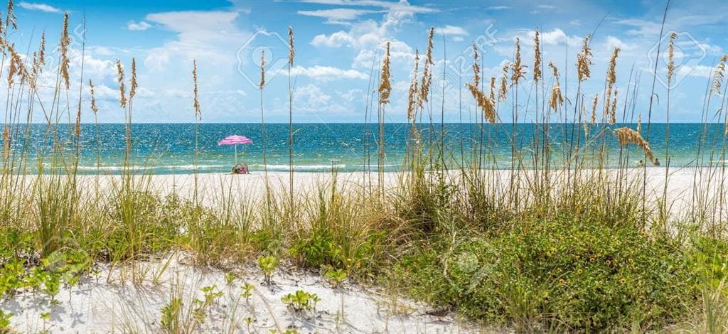 150 42ND AVENUE, ST PETE BEACH, FL 33706 — zdjęcie 5