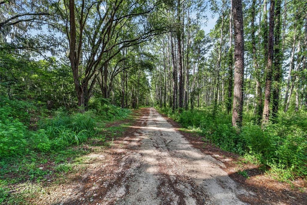 15020 W HIGHWAY 328, OCALA, FL 34482 — zdjęcie 5