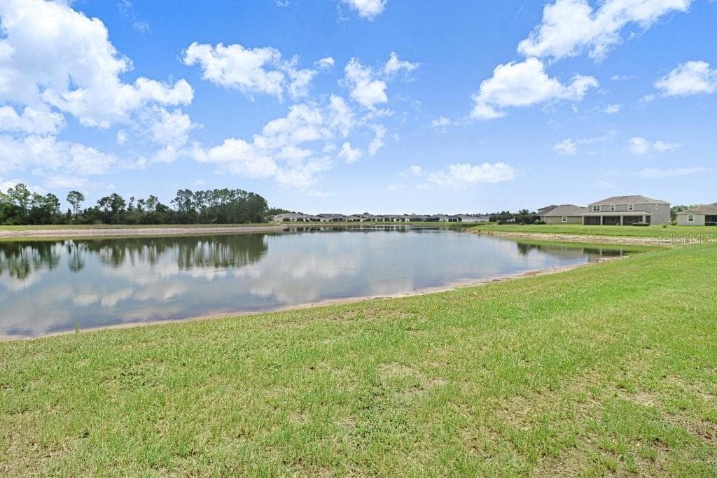11520 BLUE WOODS DRIVE, RIVERVIEW, FL 33569 — zdjęcie 3