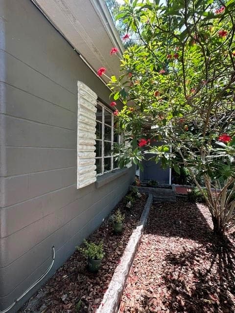 4315 W WATROUS AVENUE, TAMPA, FL 33629 — zdjęcie 3