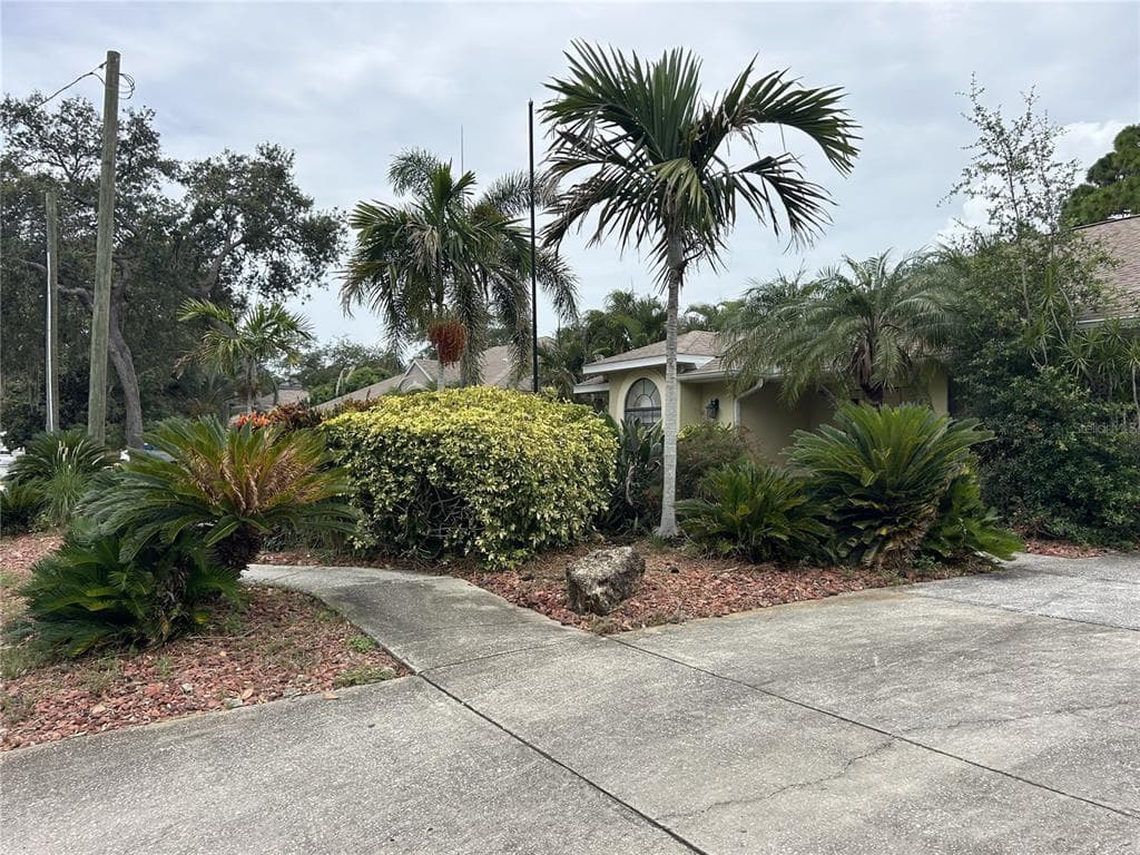 1612 GULF BEACH BOULEVARD, TARPON SPRINGS, FL 34689 — zdjęcie 5