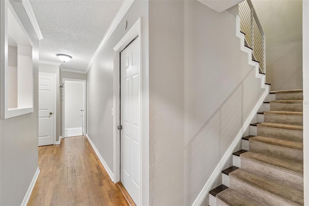 5203 BAYSHORE BOULEVARD # 5, TAMPA, FL 33611 — zdjęcie 4