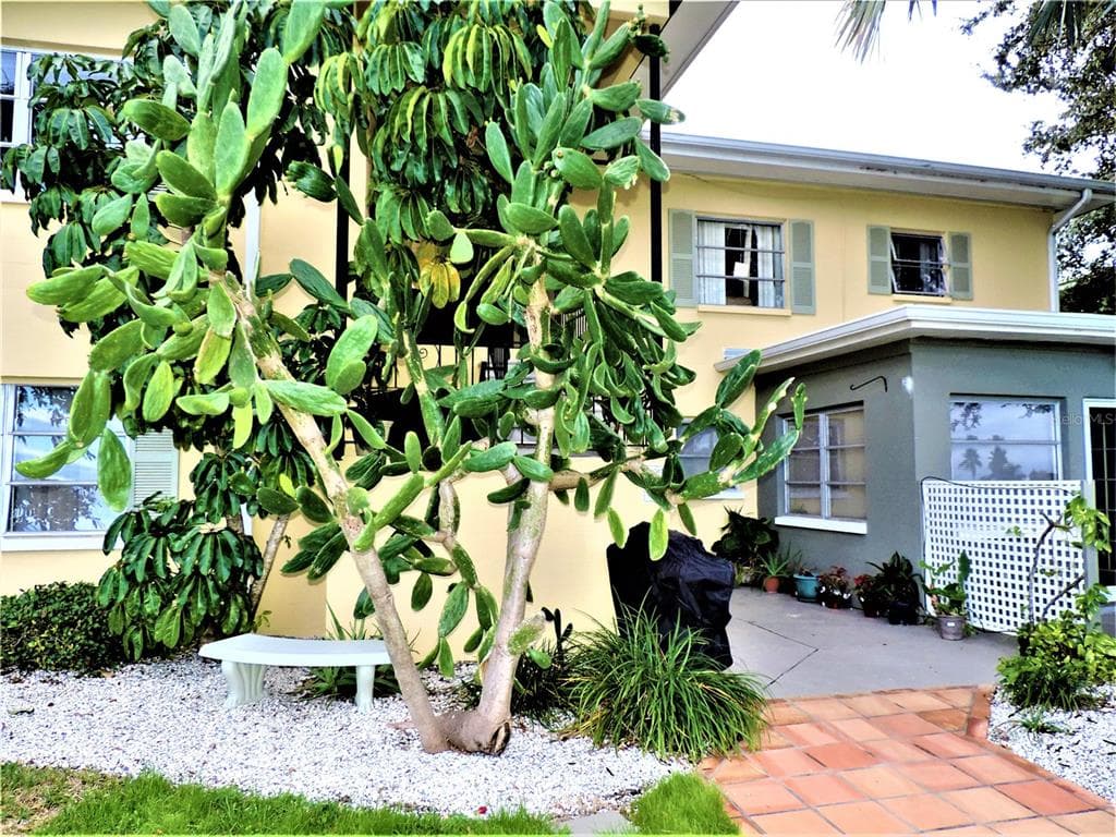 12175 3RD STREET E # 2, TREASURE ISLAND, FL 33706 — zdjęcie 3