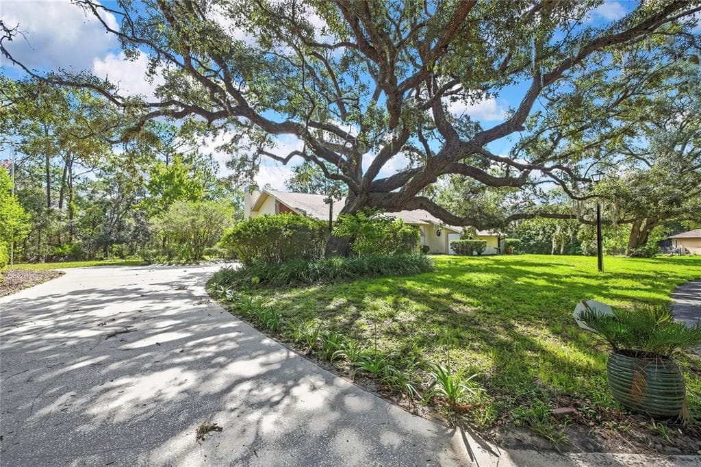 12 MAYFLOWER COURT E, HOMOSASSA, FL 34446 — zdjęcie 2