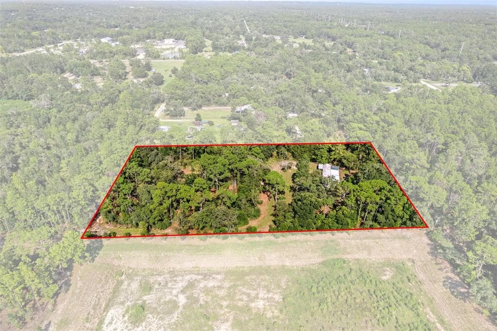 7056 VANCE STREET, BROOKSVILLE, FL 34604 — zdjęcie 5