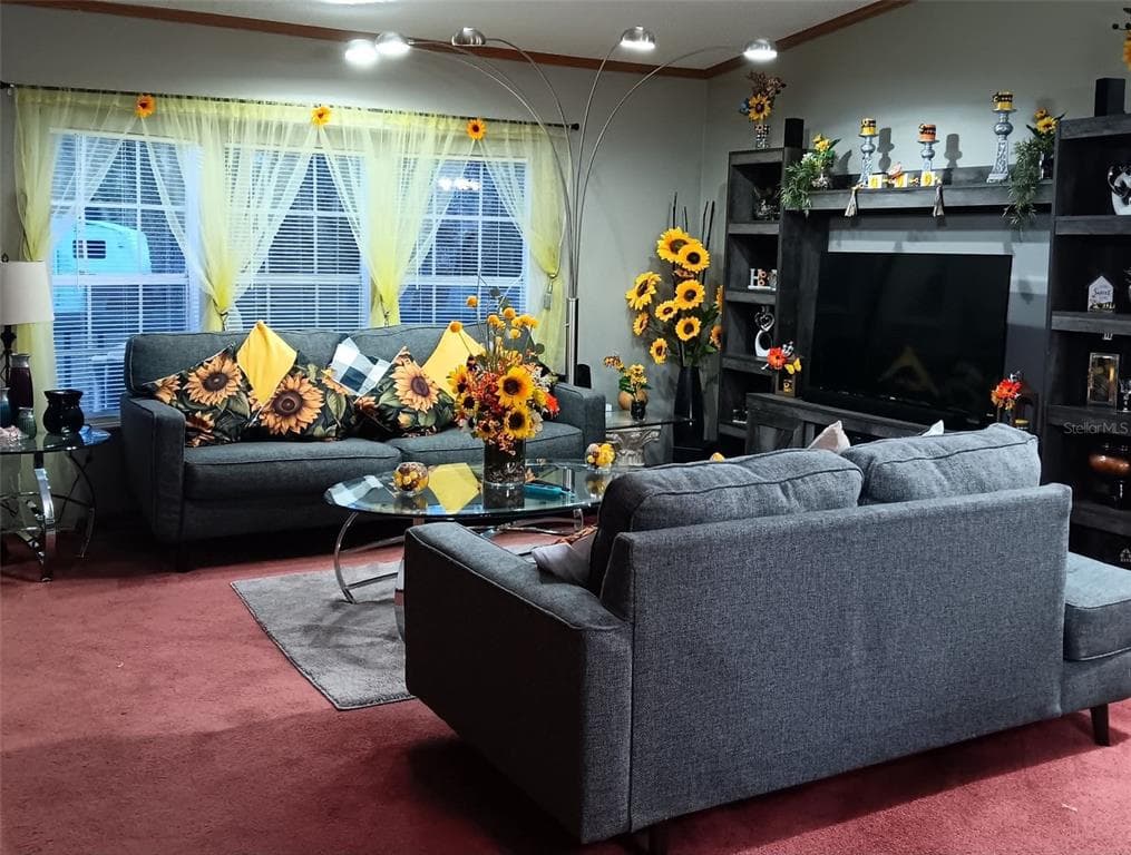 9070 SE 196TH TERRACE, OCKLAWAHA, FL 32179 — zdjęcie 3