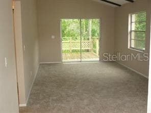 4851 BILLY DIRECT LANE, LUTZ, FL 33559 — zdjęcie 3