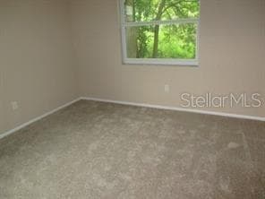 4851 BILLY DIRECT LANE, LUTZ, FL 33559 — zdjęcie 4