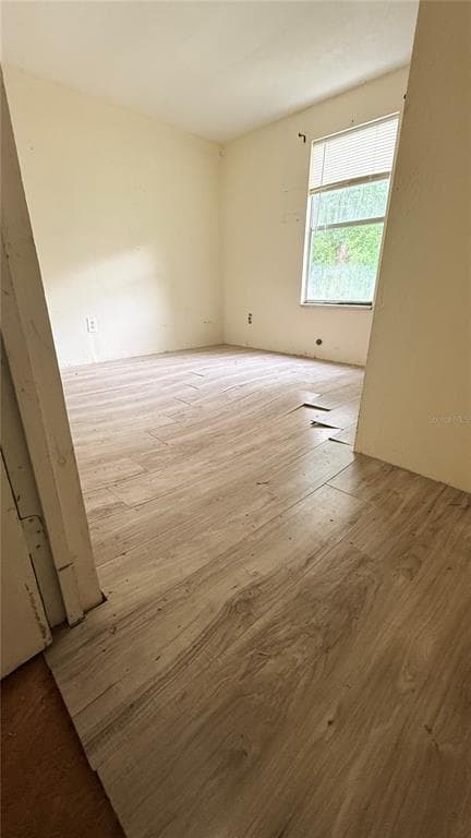 6408 WOODSMAN DRIVE, WESLEY CHAPEL, FL 33544 — zdjęcie 5