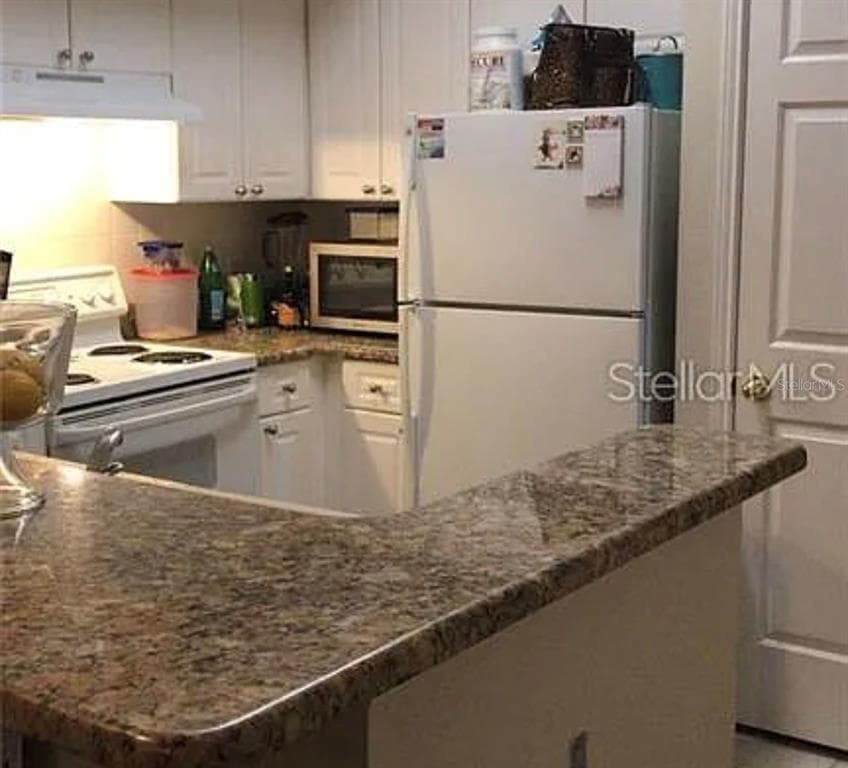 280 CELEBRATION BOULEVARD # 307, CELEBRATION, FL 34747 — zdjęcie 3