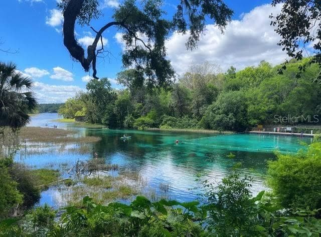 20260 SW 80TH PLACE ROAD, DUNNELLON, FL 34431 — zdjęcie 3