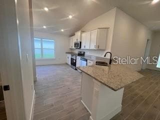 13022 KENT BRADELY STREET, DADE CITY, FL 33525 — zdjęcie 5