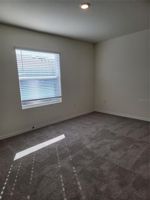 2892 EVERGREEN ELM PASS, WESLEY CHAPEL, FL 33543 — zdjęcie 2