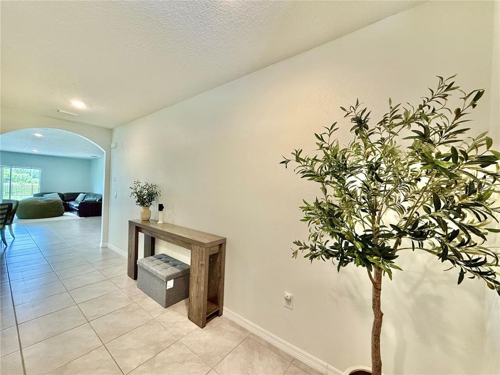 30807 PENNY SURF LOOP, WESLEY CHAPEL, FL 33545 — zdjęcie 3