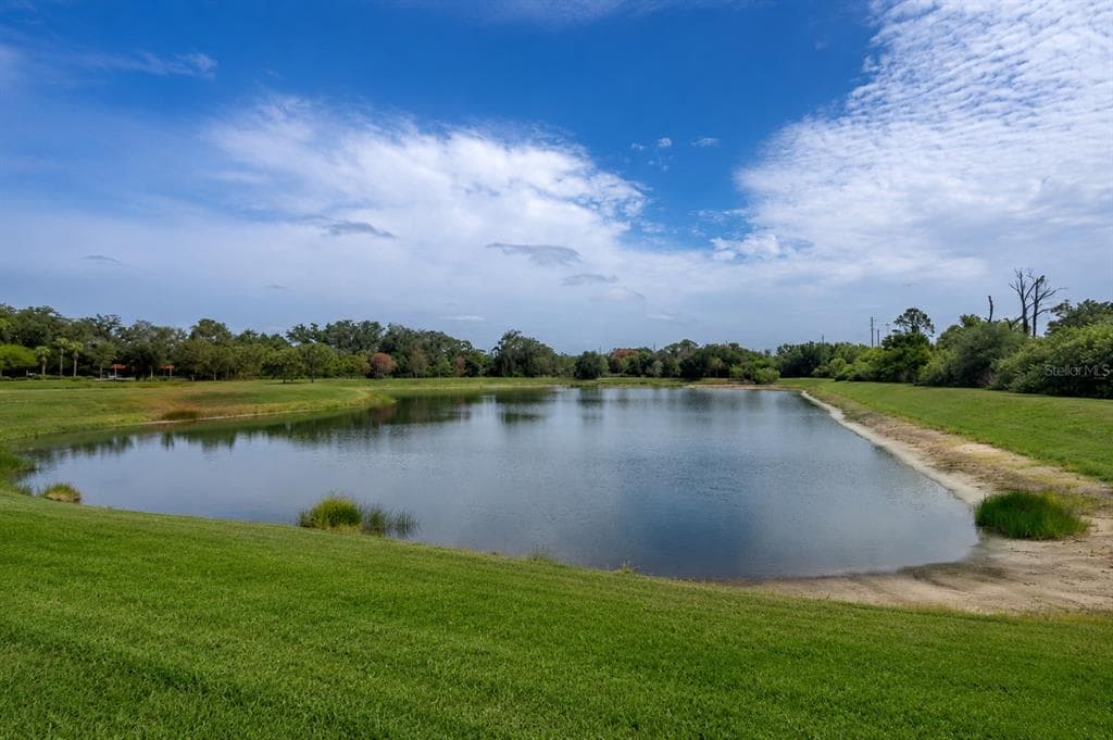 9310 BLUEBERRY ASH CIRCLE, RIVERVIEW, FL 33578 — zdjęcie 4