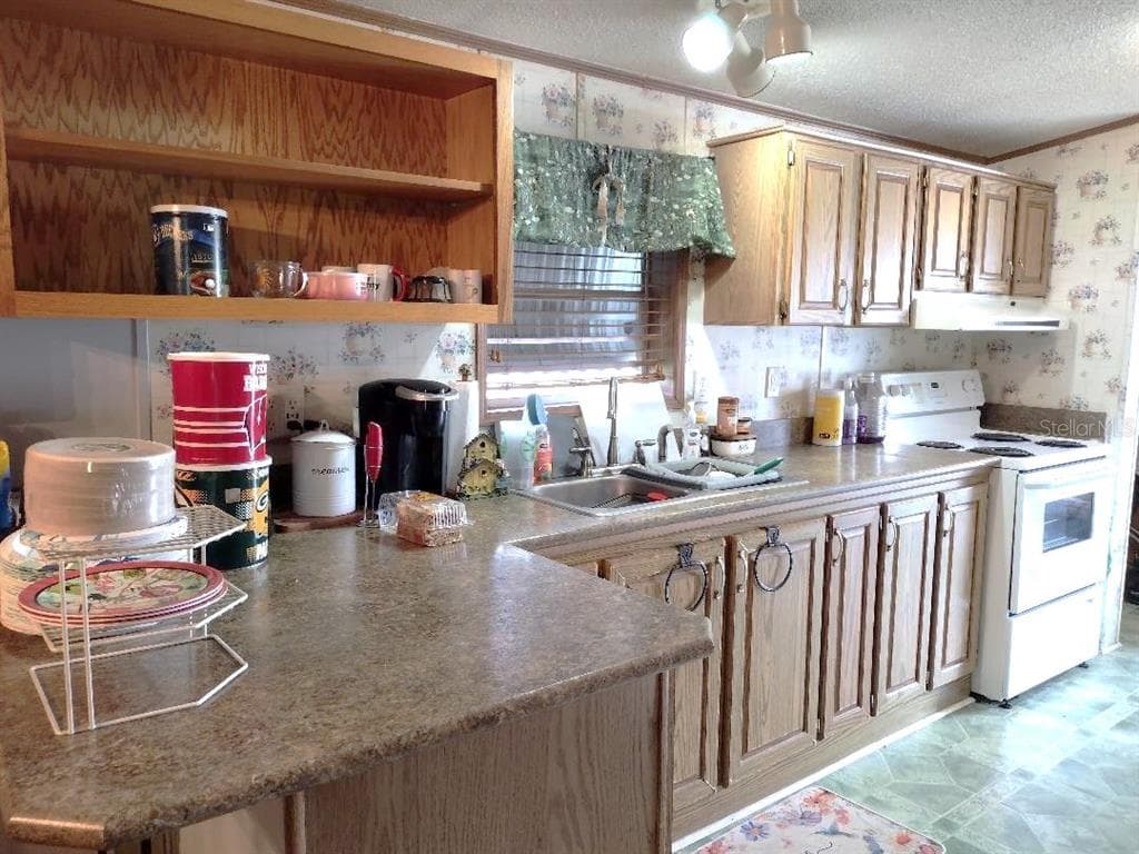 1176 COUNTY ROAD 305, BUNNELL, FL 32110 — zdjęcie 4