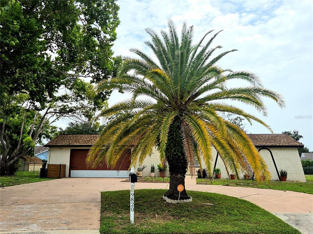 9820 POCONO STREET, PORT RICHEY, FL 34668 — zdjęcie 2