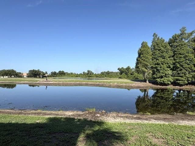 1425 EMERALD DUNES DRIVE # 17, SUN CITY CENTER, FL 33573