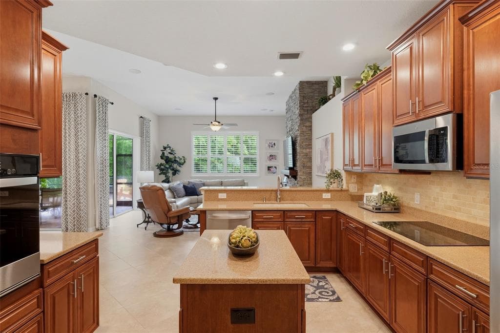 14828 MAN O WAR DRIVE, ODESSA, FL 33556 — zdjęcie 3