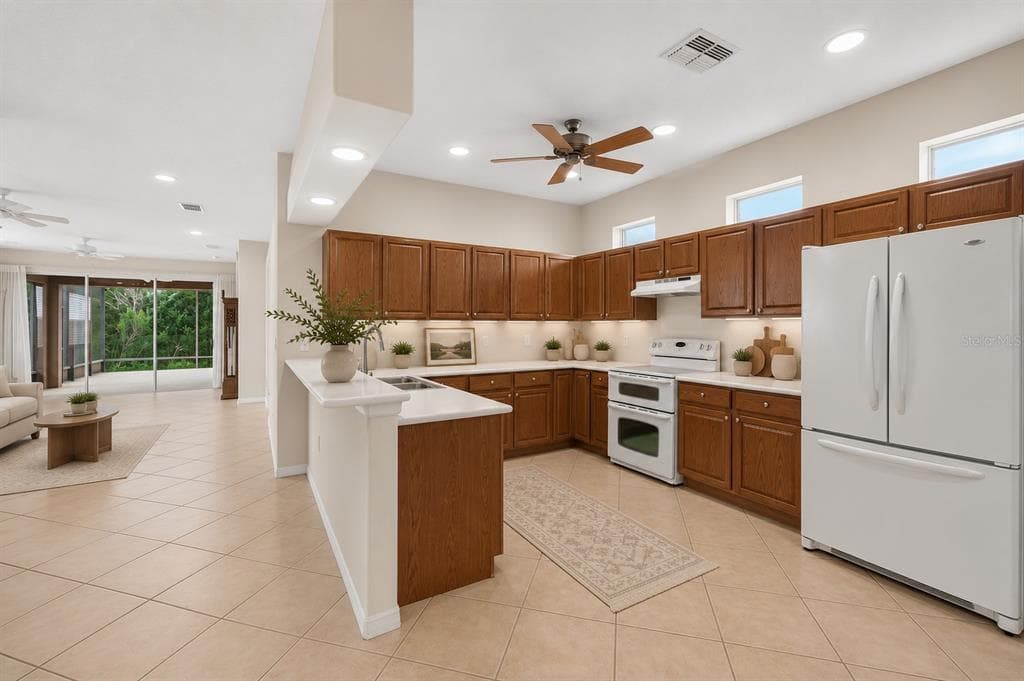 20931 DIAMONTE DRIVE, LAND O LAKES, FL 34637 — zdjęcie 3