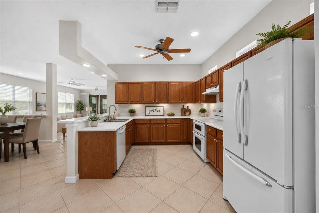 20931 DIAMONTE DRIVE, LAND O LAKES, FL 34637 — zdjęcie 5