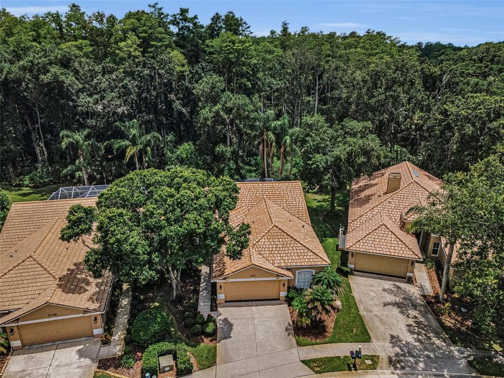 5250 PINEHURST COURT, OLDSMAR, FL 34677 — zdjęcie 4