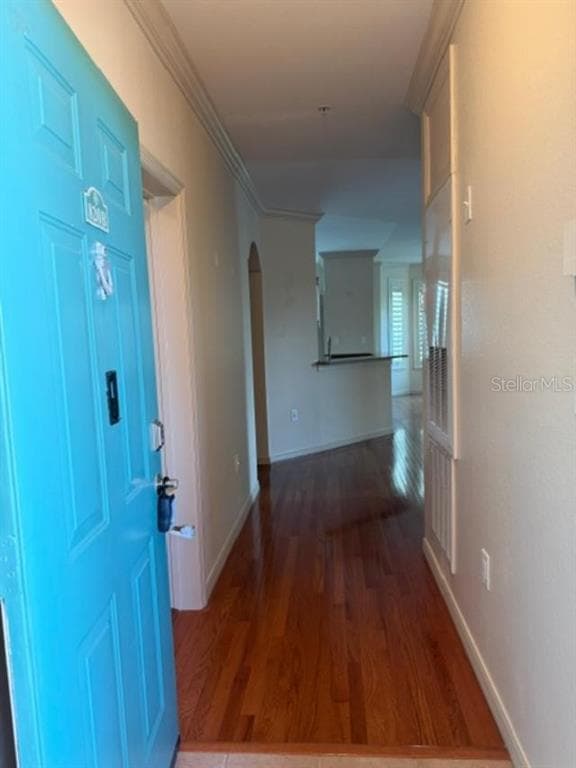 2733 VIA CIPRIANI # 820B, CLEARWATER, FL 33764 — zdjęcie 5