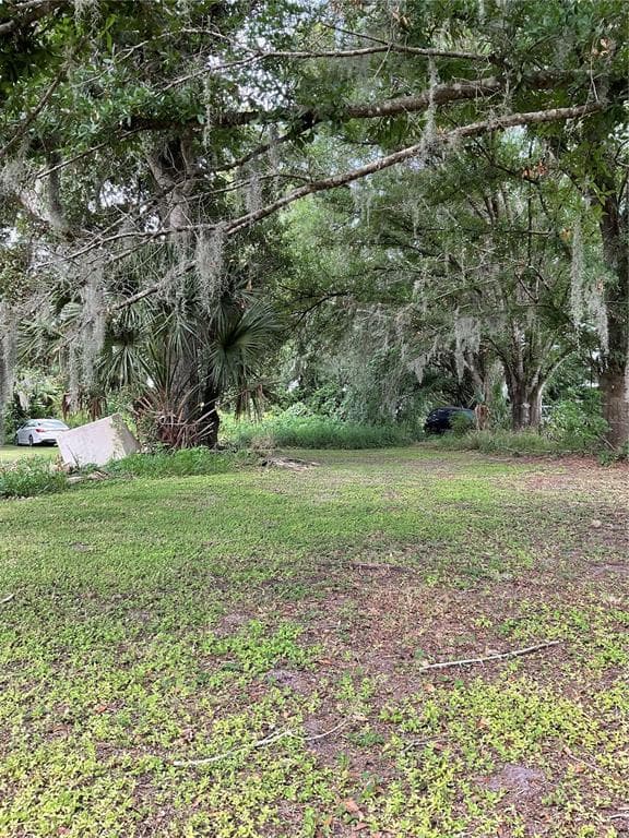 3406 HOLLOWAY ROAD, PLANT CITY, FL 33567 — zdjęcie 4