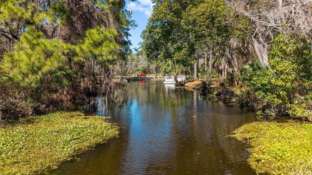 22817 SW 117TH STREET, DUNNELLON, FL 34431 — zdjęcie 2